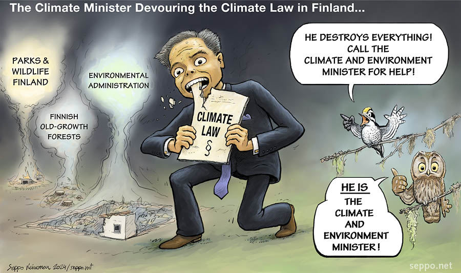  Climate minister devouring the climate law, keywords:  climate environment minister Finland devour destroy climate law envirronmental administration old forest protection national parks rangers destruction worst mininster ever. three-toed woodpecker boreal owl Picoides tridactylus Aegolius funereus cartoon