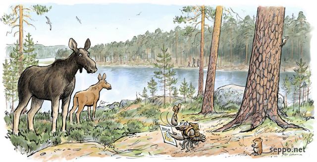  Scenery from the pending Teijo national park in Finland, keywords:
 Teijo Finland national park outdoors camping moose Eurasian elk calf crayfish crawfish treecreeper herring gull lake forest Alces alces cartoon