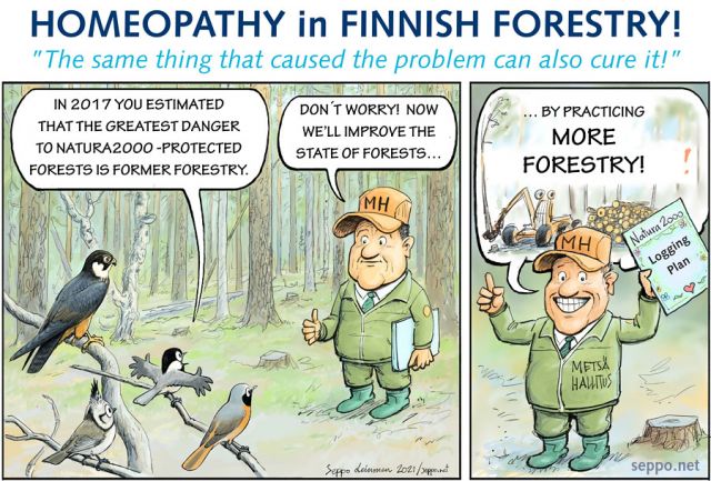  Natura2000 protection and Finnish forestry, keywords:
 forest Finnish forestry natura2000 habitat protection coniferous forests connected glaciofluvial Taiga natural Boeral Kuosto Kaarresalo cutting natural felling logging Willow tit Creasted tit redstart hobby cartoon