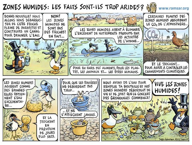  Les zones humides , keywords:
 RAMSAR Journée mondiale des zones humides 2013 cartoon