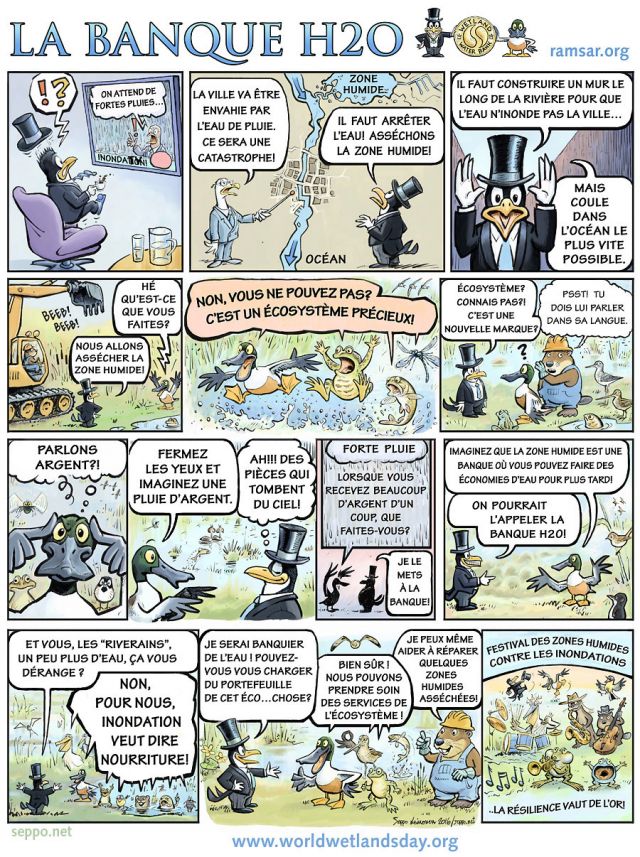  Ramsar - La Banque H2O, keywords:
 des zones humides zone humide forte pluie les inondations écosystéme wetland flood resilience climate change rain ecosystem city restoration birds fish mammals insects Ramsar water is life cartoon