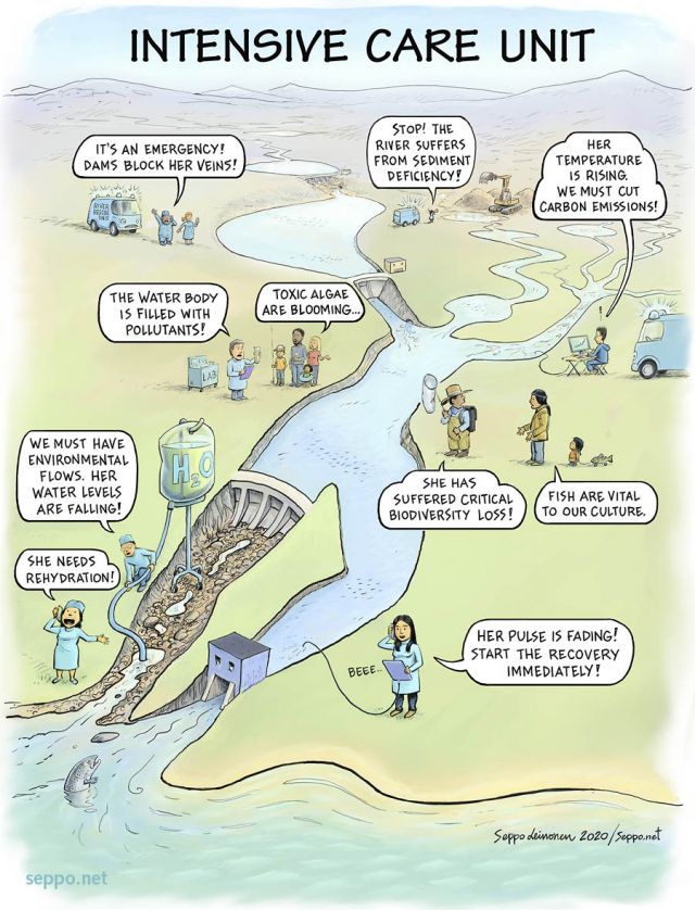  River Rescue  Intensive Care Unit, keywords:
 river rescue water law dam sediment climate change pollutant toxic algae industry salmon fish migration environmental flow rehydration biodiversity culture pulse recovery cartoon