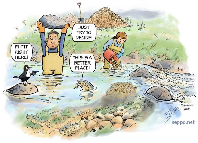  Stream restoration, keywords:
 Stream restoration river restoration river reclamation creek brook rapids whitewater stone gravel gravel bed white-throated dipper brown trout Salmo trutta fish fishing cartoon