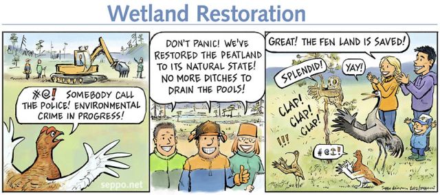  Restoration of the Fen Land, keywords:
 fen peat mire wetland restoration ecosystem willow grouse curlew short-eared owl crane cartoon