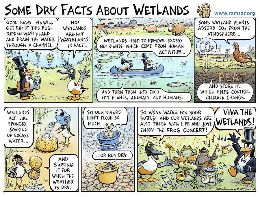  Some dry facts of wetlands, keywords:  wetlands rivers ponds mires biodiversity climate flood duck frog conservation RAMSAR cartoon