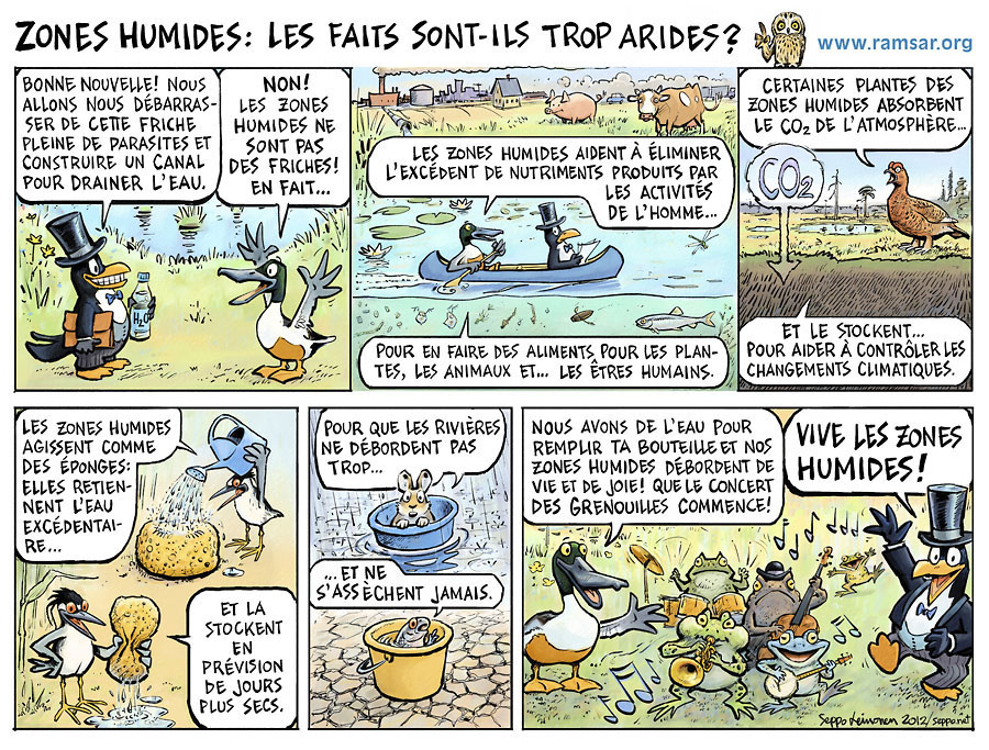  Les zones humides , keywords:  RAMSAR Journe mondiale des zones humides 2013 cartoon