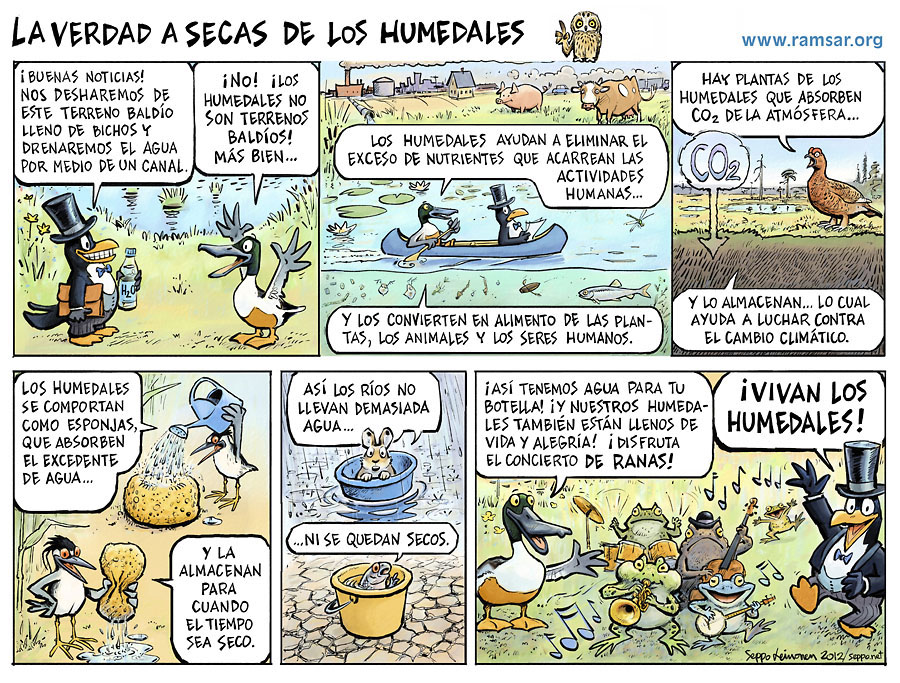  La verdad a secas de los humedales, keywords:  RAMSAR El Da Mundial de los Humedales 2013 cartoon
