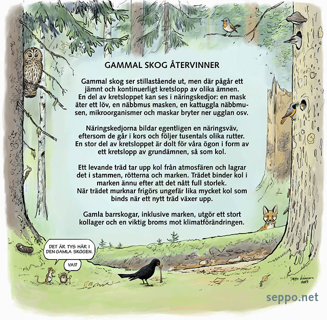  Gammal skog återvinner kol, keywords:
 gammal skog återvinning kol kollager liv fauna Maunula natur stig mindre flugsnappare gråspett kattuggla rödstjärt trädkrypare räv skogssork skogsmus vanlig näbbmus koltrast spyboll tecknad cartoon