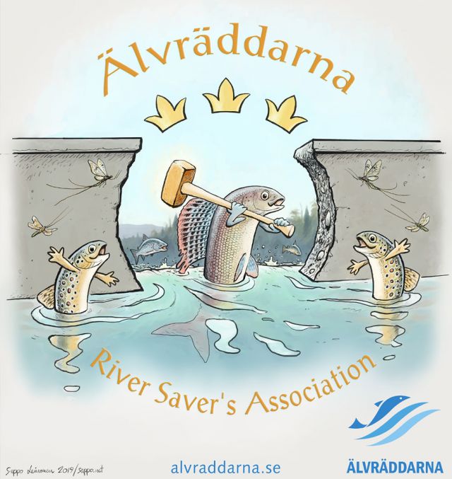  lvrddarna  River Saver's Association, keywords: lvrddarna grayling trout salmon dam removal spawning river fish migration rivers Salmo trutta cartoon