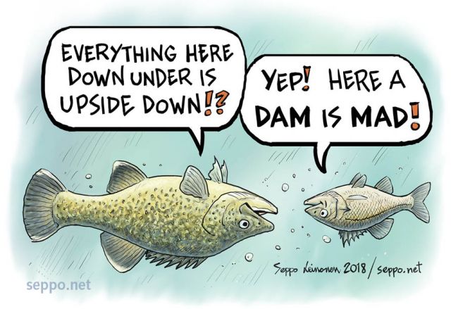  , keywords:
 murray cod Maccullochella peelii Australian bass Macquaria novemaculeata down under upside down river fish migration rivers mad dam fishmigration cartoon