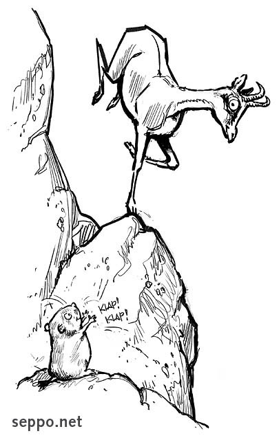  Chamois and  Alpine marmot, keywords:
 Chamois Alpine marmot mountain steep climb climbing scarp slope mountaineering balance jump stunt Rupicapra rupicapra Marmota marmota cartoon