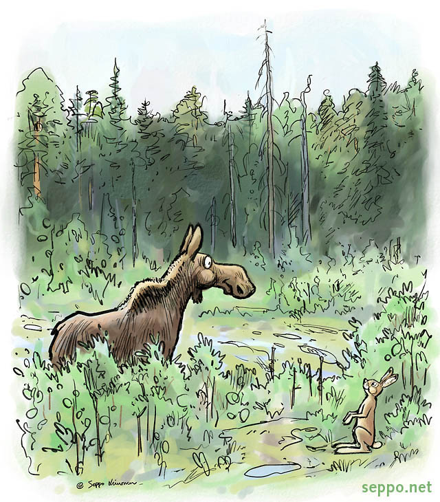 Elk and hare feeding on coppice, keywords:
 elk moose mountain hare coppice tree seedling forest game summer feeding grazing Lepus timidus Alces alces cartoon