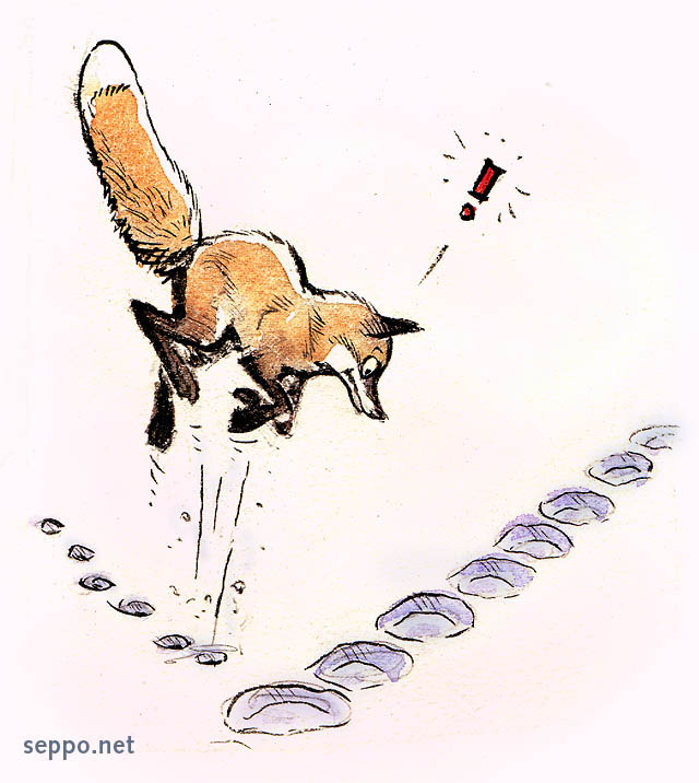  Red fox scared by its own melted track, keywords:
 red fox animal tracks footprints snow melted scared frightened Vulpes vulpes cartoon