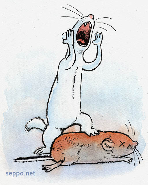  Least weasel with Bank vole as prey, keywords:
 Least weasel Bank vole prey catch victory cry yell Mustela nivalis Myodes glareolus cartoon