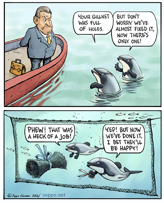  Maui's dolphins helps to fix the driftnets, keywords:
 Maui&#039;s dolphin driftnet endangered species fishing extinction New Zealand Cephalorhynchus hectori maui cartoon