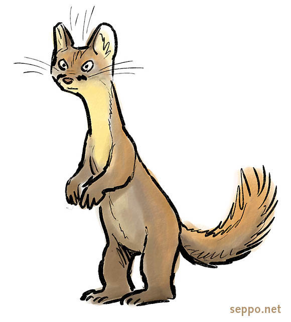  Pine marten, keywords:
 European pine marten pineten sweet marten Martes martes cartoon
