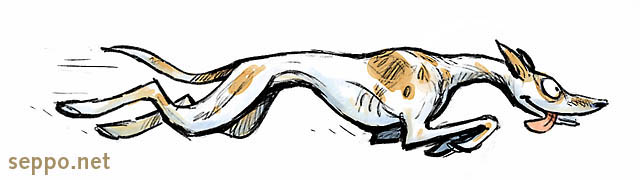  Sighthound runs, keywords:
 sighthound gazehound dog runner run speed cartoon