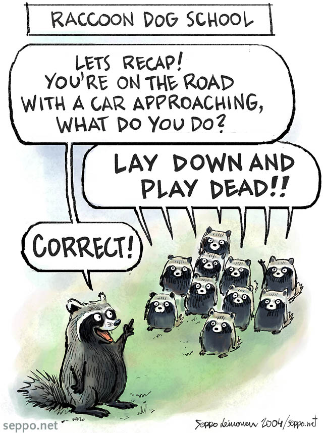  Raccoon dog school, keywords:
 raccoon dog insticts survival skills traffic play dead roadkill invasive species school education Nyctereutes procyonoides cartoon