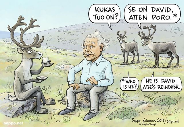  Atten poro and Attenborough, keywords:
 reindeer Atten poro David Attenborough Saariselka UKK National Park Finland Lapland fell cartoon