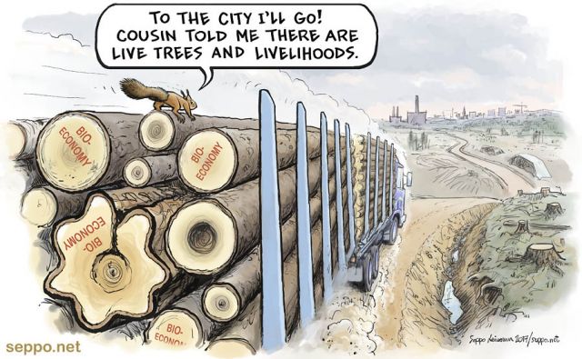  Red squirrel moves to urban area, keywords:
 red squirrel bioeconomy forest forests clearcut forestry old growth tree burning wood rotten wood city town urban area conservation species Sciurus vulgaris cartoon