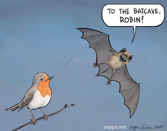  Northern Bat and Robin, keywords:
 Northern Bat Robin batcave Eptesicus nilssonii Erithacus rubecula cartoon
