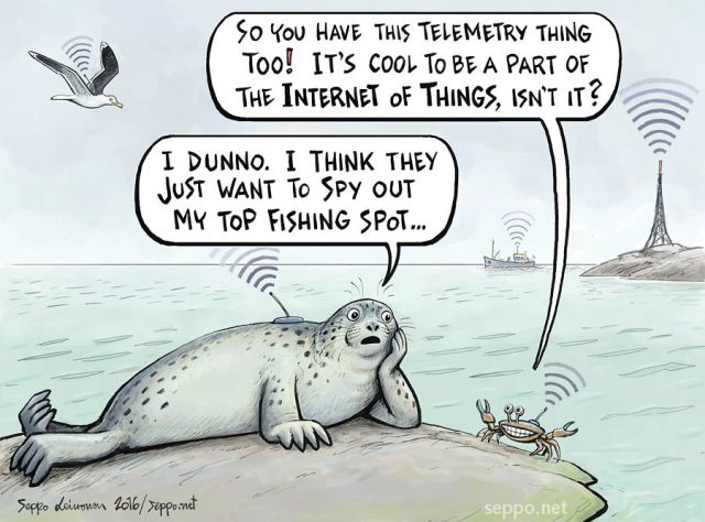  Harbour seal and the internet of things, keywords:
 harbour seal crab gull boat transmitter internet gps research cartoon