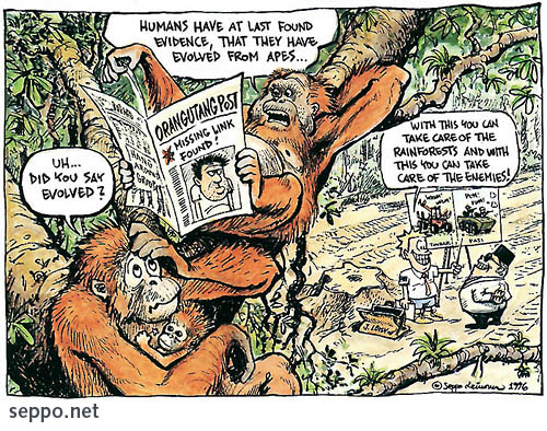  Orangutan, evolution and Indonesian Rainforests, keywords:
 Orangutan Indonesia Borneo evolution rainforest forest forestry destruction clear-cutting arms trade cartoon