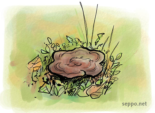  Velvet-top fungus – dyer's polypore, keywords:
 Velvet-top fungus dyer&#039;s polypore dyeing Norway chicken old-growth forest Phaeolus schweinitzii cartoon