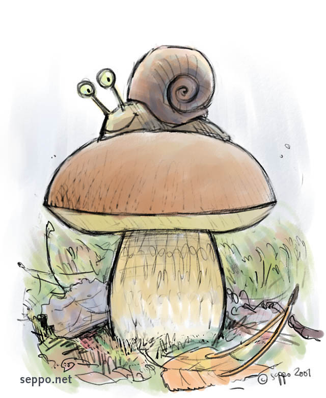  Penny bun and snail, keywords:
 penny bun porcino cep Boletus edulis gastropod snail Gastropoda cartoon