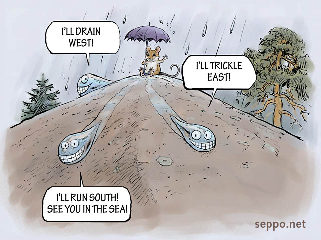  Raindrops on watershed, keywords:
 rain watershed divide raindrop precipitation drainage basin runoff umbrella yellow-necked mouse Apodemus flavicollis cartoon