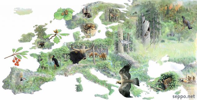  Before agriculture Europe was all forest, keywords:
 Europe forest map history ancient times fauna leopard golden eagle middle spotted woodpecker black stork aurochs stag beetle strawberry tree cartoon