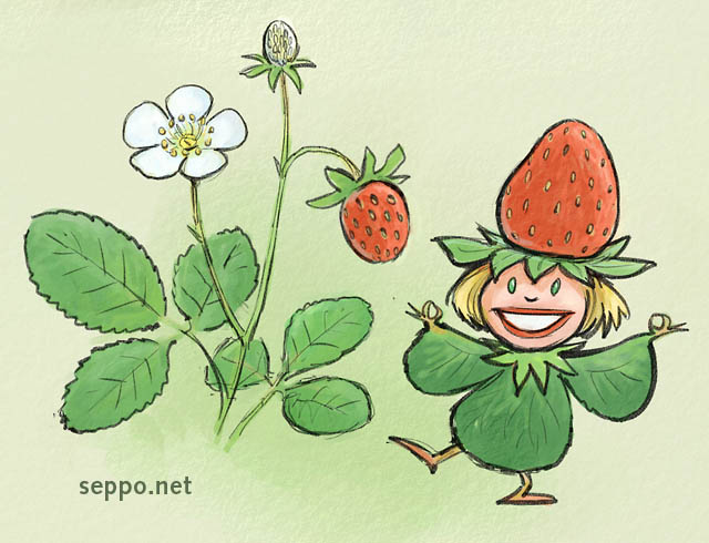  Strawberry fairy, keywords:
 wild strawberry woodland strawberry Alpine strawberry European strawberry Fragaria vesca fairy fairy tale character cartoon