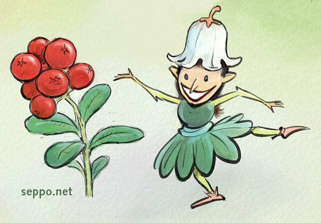  Lingonberry fairy, keywords:
 lingonberry cowberry forest berry fairy fairy tale character Vaccinium vitis-idaea cartoon
