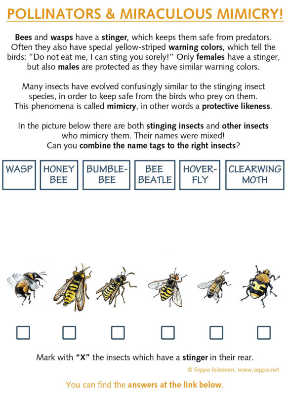 Pollinators and mimicry