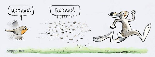  Jänis verenimijät ja punarinta, keywords:
 hyttynen itikka paarma mäkäräinen polttiainen kesä punarinta jänis ravintoketju verenimijä hyönteissyöjä kasvissyöjä hyönteinen Tabanidae Simuliidae Culicidae Erithacus rubecula Lepus timidus pilapiirros