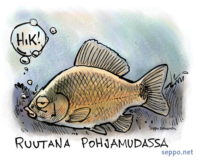  Ruutana talvella hapettomassa vedessä, keywords:
 ruutana talvi selviytyminen pohjamuta lampi järvi hapeton vähähappinen Carassius carassius pilapiirros