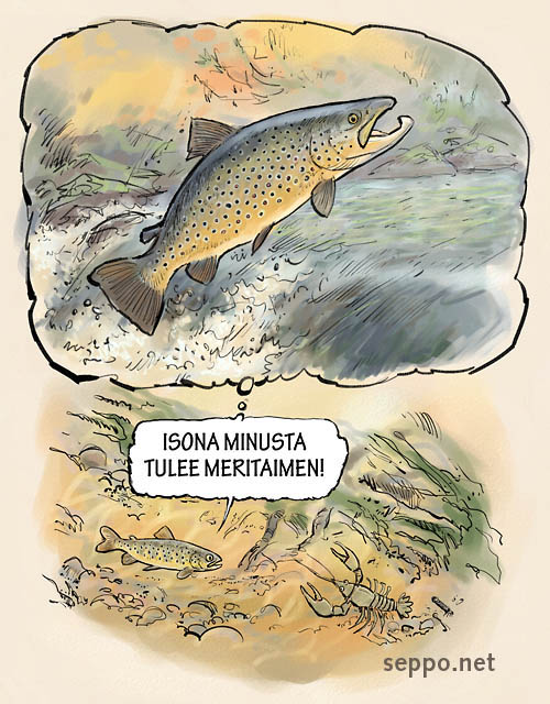  Taimenen poikanen haaveilee, keywords:
 taimen poikanen meritaimen joki puro koski nousu kutuvaellus vaelluskala lohikala rapu Salmo trutta trutta pilapiirros