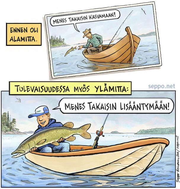  Kestävä kalastus - alamitta ja ylämitta, keywords:
 kala kalastus kestävä kalastaja valikoiva vapauttaminen hauki alamitta ylämitta Esox lucius tutkimus kalakanta perinnöllisyys kutu emokalat genetiikka keskala pilapiirros