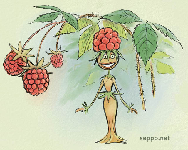  Vadelmakeiju, keywords:
 vadelma vaarain vaapukka vattu metsämarja keiju satuhahmo Rubus idaeus pilapiirros