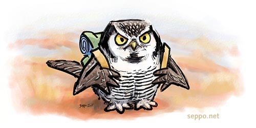  Hiiripll vaeltaa, keywords:
 hiiripll Surnia ulula Lappi vaellus pll Northern hawk owl piirros pilapiirros