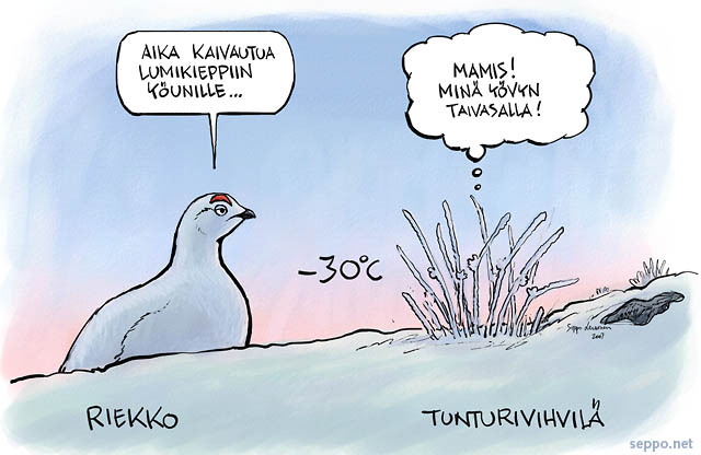  Riekko ja tunturivihvil, keywords:
 iekko tunturivihvil tunturi lappi talvi pakkanen kylm piirros pilapiirros