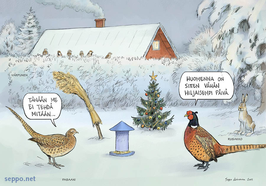 Fasaani viettää hidasta Joulua