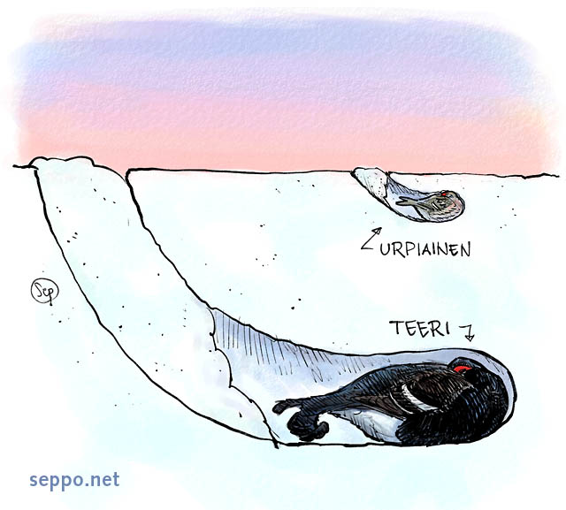  Kieppi – lintujen pakkassuoja – teeri ja urpiainen, keywords:
 kieppi talvi pakkanen pakkassuoja lumi lumikuoppa hanki lintujen talvehtiminen teeri urpiainen Lyrurus tetrix Carduelis flammea Carduelis flammea piirros
