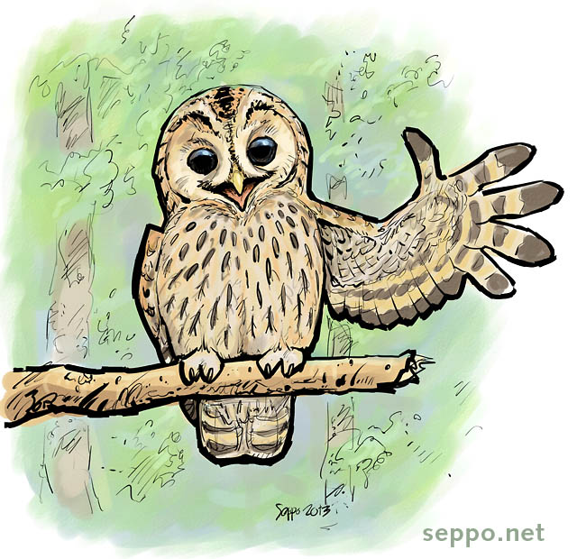  Lehtopöllö, keywords:
 lehtopöllö Strix aluco tawny owl piirros