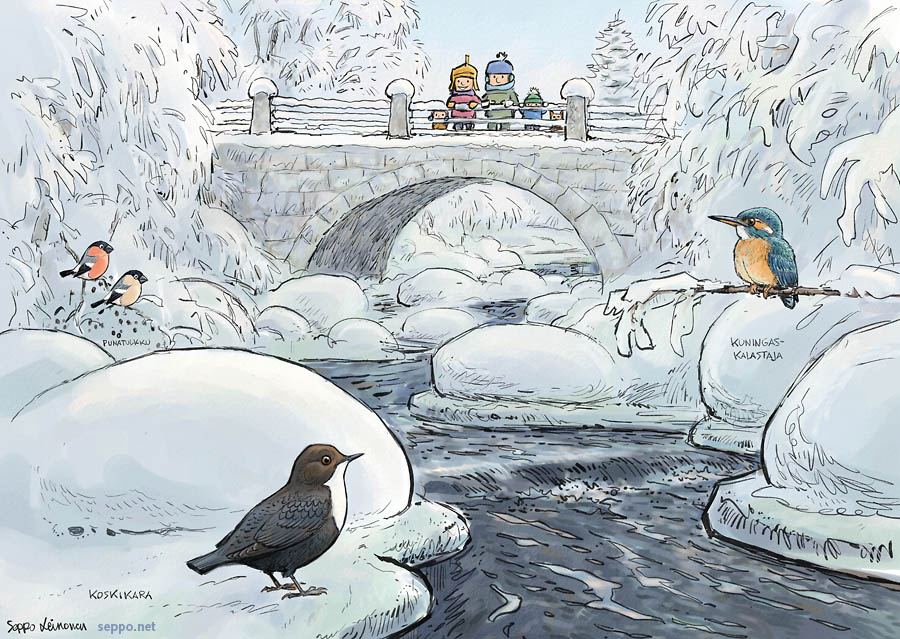 Koskikara ja kuningaskalastaja talvisella joella