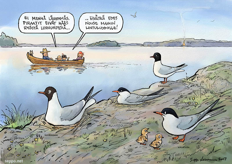  Lintuluoto ja veneilijät, keywords:  lintuluoto lintusaari vene veneily Juhannus kesä naurulokki pikkulokki kalatiira lapintiira Larus ridibundus Larus minutus Sterna hirundo Sterna paradiseae pilapiirros