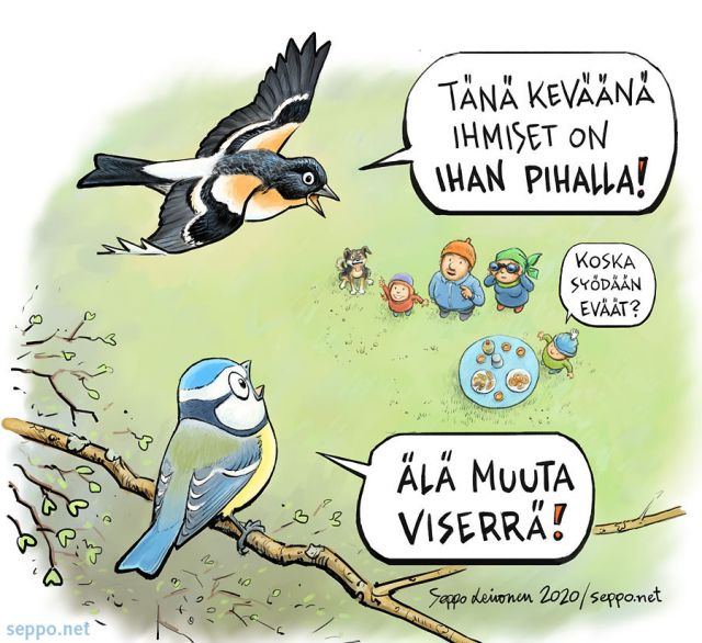 Birdlife - Pihojen taisto