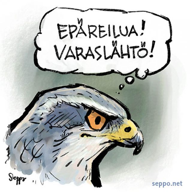  Kanahaukka saalistaa, keywords:
 pilapiirros kanahaukka saalistus tähystys vaania Accipiter gentilis
