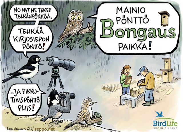  Pnttbongaus, keywords:
 pntt linnunpntt pnttbongaus Birdlife kirjosieppo kuusitiainen puukiipij helmipll pntntekij lintuharrastus pilapiirros