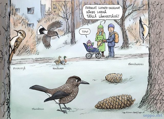  Puisto ja lhimets  luonto-ohjelmia liven, keywords:
 puisto lhimets kaupunkimets phkinhakki phkinnakkeli puukiipij heinsorsa sinisorsa sembramnty pilapiirros Certhia familiaris Sitta europaea Nucifraga caryocatactes